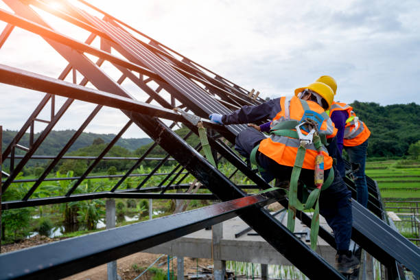 Best Roof Gutter Cleaning  in Oak Trail Shores, TX