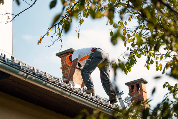 Roof Gutter Cleaning in Oak Trail Shores, TX